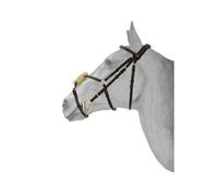 Bridon équitation muserolle croisée mexicaine anatomique HFI Noir Poney