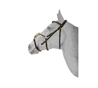 Bridon équitation muserolle croisée surpique anatomique HFI Marron Full