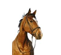 Bridon équitation muserolle doublé combinée Riding World Marron Cheval