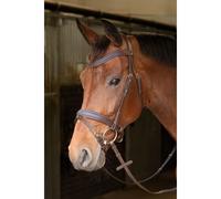Bridon équitation pour cheval Harry's Horse Havanna Marron Full