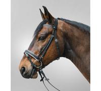 Bridon équitation pour cheval Star Diamond Blanc Cob