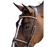 Bridon équitation PS of Sweden Antwerp 2.0 Marron Cob