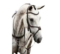 Bridon équitation PS of Sweden Athens Marron Cob