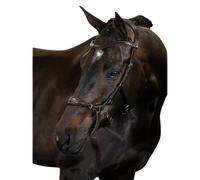 Bridon équitation PS of Sweden Hackamore Marron Cob