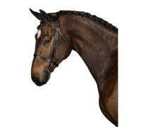 Bridon équitation PS of Sweden Wellington Noir Full