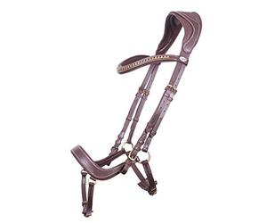 Bridon équitation QHP Devi