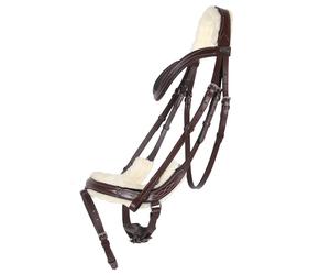 Bridon équitation QHP Ontario Marron Cob