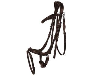Bridon équitation QHP Salerno Marron Cob