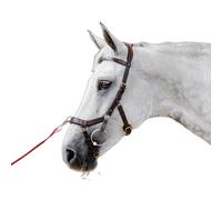 Bridon équitation sans rênes Horseware Micklem 2 Multibridle Marron Full
