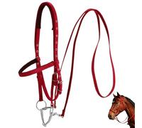 Bridon réglable pour cheval avec mors, grand licol en nylon et rênes, bride d'équitation avec têtière et muserolle rembourrées, boucle à dégagement rapide, pour chevaux de plus de 4,3 pieds, rouge