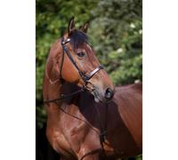 Bridon Riding World "Muserolle Française" - Couleur : Havane, Taille : Shetland Marron