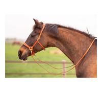 Bridon sans mors pour cheval Edix Saddles ED2-Rose Marron Full