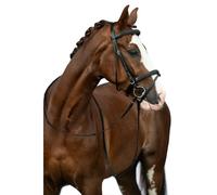 Bridon sans mors pour cheval HKM Jana Noir Sang-froid