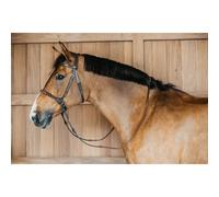 Bridons anatomique sans mors Dy'on Marron XFull