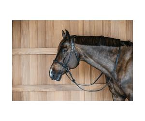 Bridons anatomique sans mors Dy'on Noir Cob