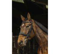 Bridons équitation anatomique Norton Basal Noir Cheval