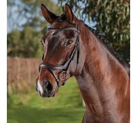 Bridons équitation anatomique Weatherbeeta Collegiate Comfitec Vogue Marron Cob
