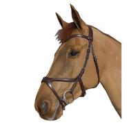 Bridons équitation Anatomique Xfit Dy'on Marron Cheval