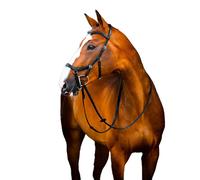 Bridons équitation avec rênes en caoutchouc Horseware Micklem 2 Deluxe Noir Poney