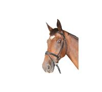 Bridons équitation combiné Privilège Equitation Cabourg Noir Poney