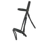 Bridons équitation combiné T de T Sisley Noir Cheval
