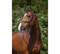 Bridons équitation croisée Riding World Muserolle Marron Cheval