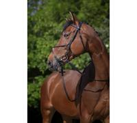 Bridons équitation croisée Riding World Muserolle Noir Cheval