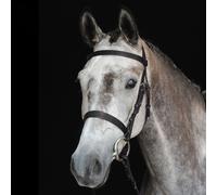 Bridons équitation de chasse cavesson Weatherbeeta Collegiate IV Noir Full