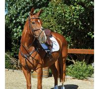 Bridons équitation de quiscale Weatherbeeta Collegiate Comfitec Marron Full
