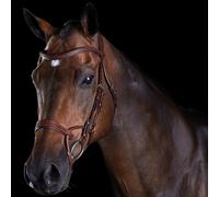 Bridons équitation d'entraînement pour cheval Weatherbeeta Collegiate Comfitec Marron Poney