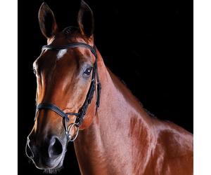 Bridons équitation d'entraînement pour cheval Weatherbeeta Collegiate Comfitec Noir Cob