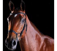 Bridons équitation d'entraînement pour cheval Weatherbeeta Collegiate Comfitec Noir Full