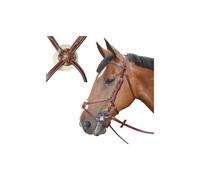 Bridons équitation denver croisé Lexington Marron Cob