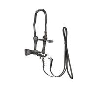 Bridons équitation Edix Saddles ED4- Jazz Noir Cob