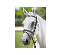 Bridons équitation en cuir Tattini Marron Full