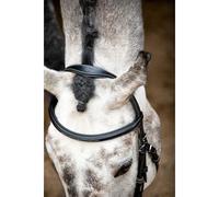 Bridons équitation en cuir vegan Montar Hunter ECO Noir Cob