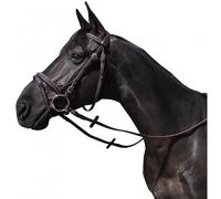 Bridons équitation Flags&Cup Wellington Marron Poney