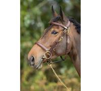 Bridons équitation HFI Combo Marron Cob