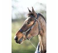 Bridons équitation HFI Combo Noir Full