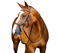 Bridons équitation Horseware Micklem 2 Diamante Noir Poney