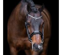 Bridons équitation Imperial Riding Olympia Noir Cob