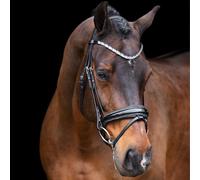 Bridons équitation Imperial Riding Olympia Noir Poney