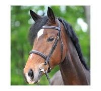Bridons équitation Kavalkade Akila Hunter Noir Cob