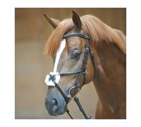Bridons équitation Kavalkade Diandro Marron Cob