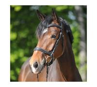 Bridons équitation Kavalkade Ivy Plus Noir Cob