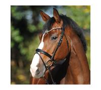 Bridons équitation Kavalkade Reyna KavalSH4 Noir Cob