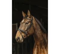 Bridons équitation Norton Pro Apophyse Noir Poney