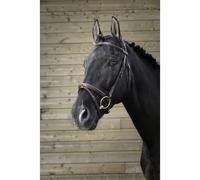 Bridons équitation Norton Pro Fin Marron Cheval