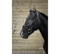Bridons équitation Norton Pro Fin Noir Pur-sang