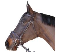 Bridons équitation plat doublé Canter Marron Shetland